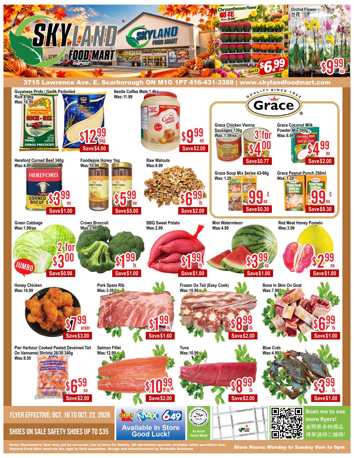 Skyland Food Mart Flyer October 16 to 22