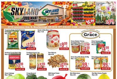 Skyland Food Mart Flyer October 16 to 22