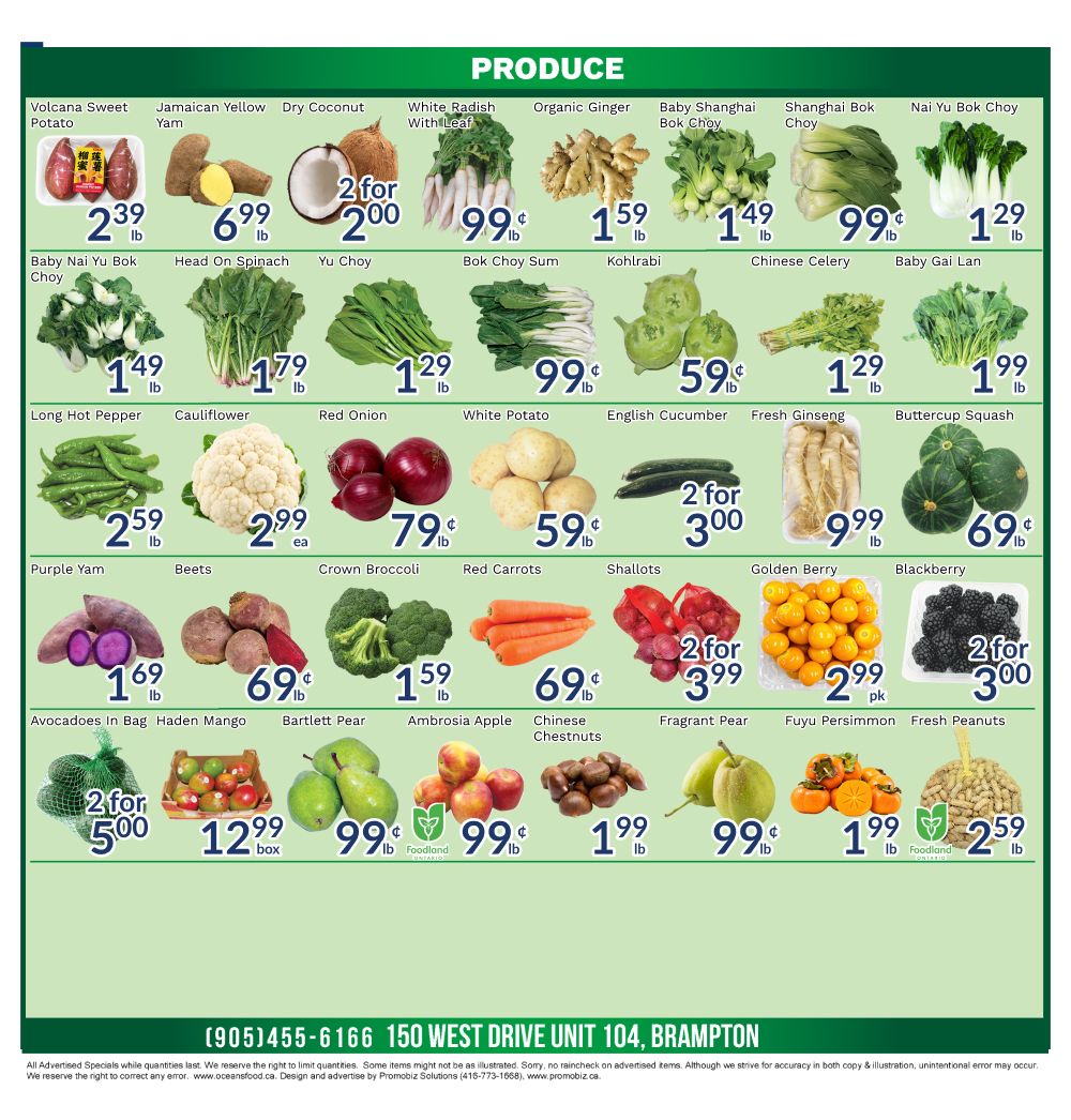 Oceans Fresh Food Market (Brampton) Flyer October 16 to 22