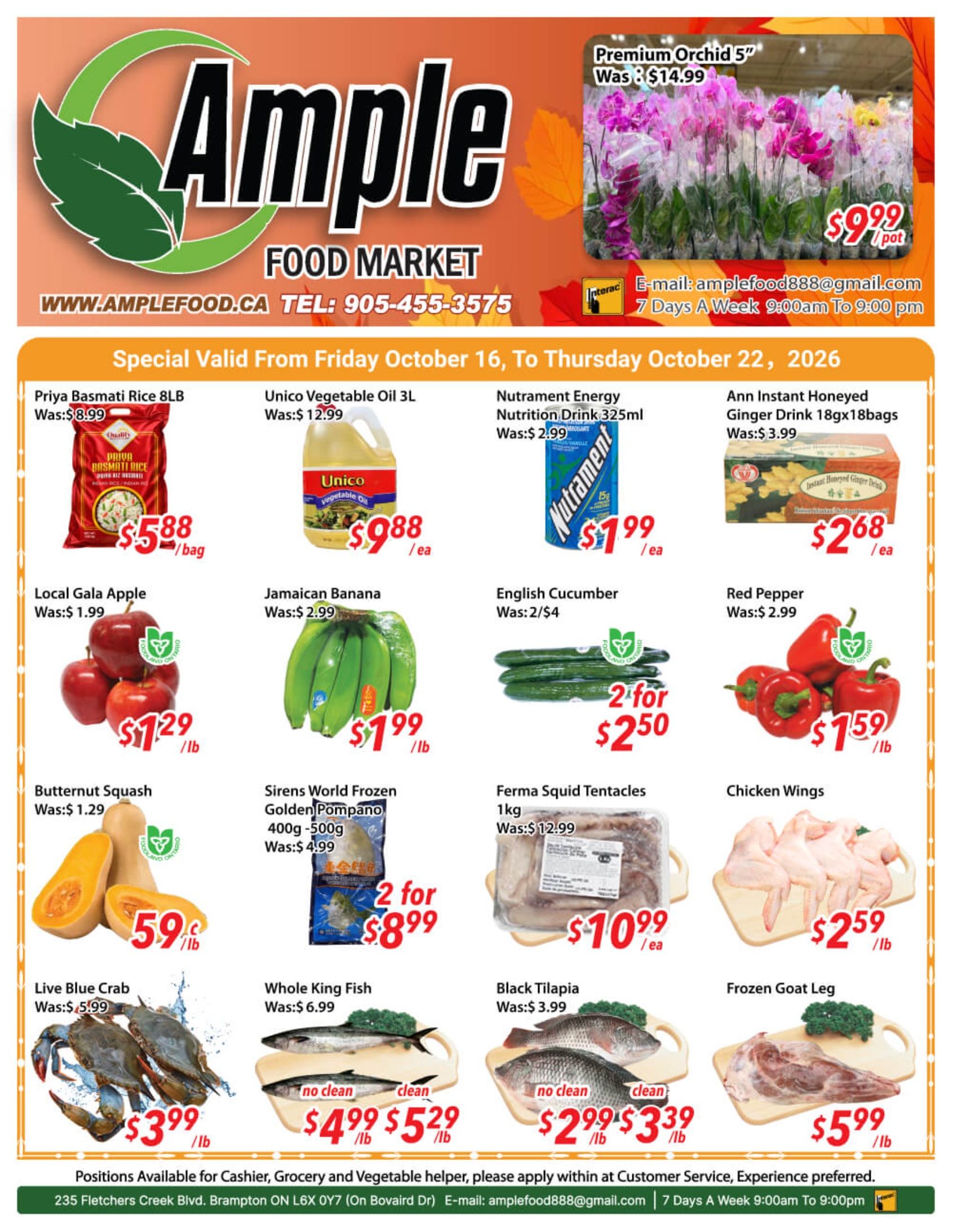 Ample Food Market (Brampton) Flyer October 16 to 22