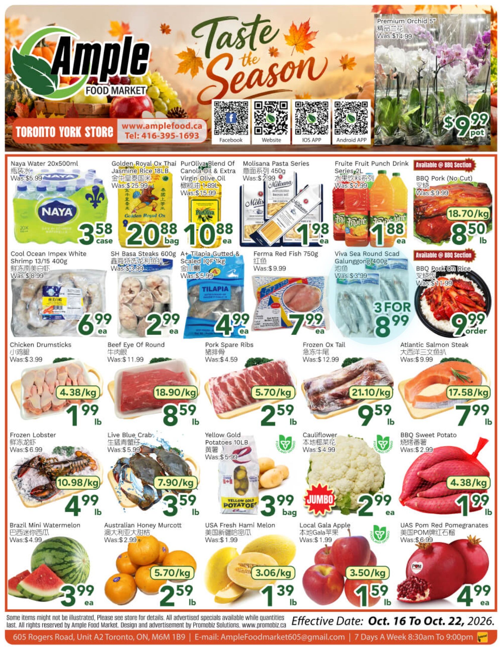 Ample Food Market (North York) Flyer October 16 to 22