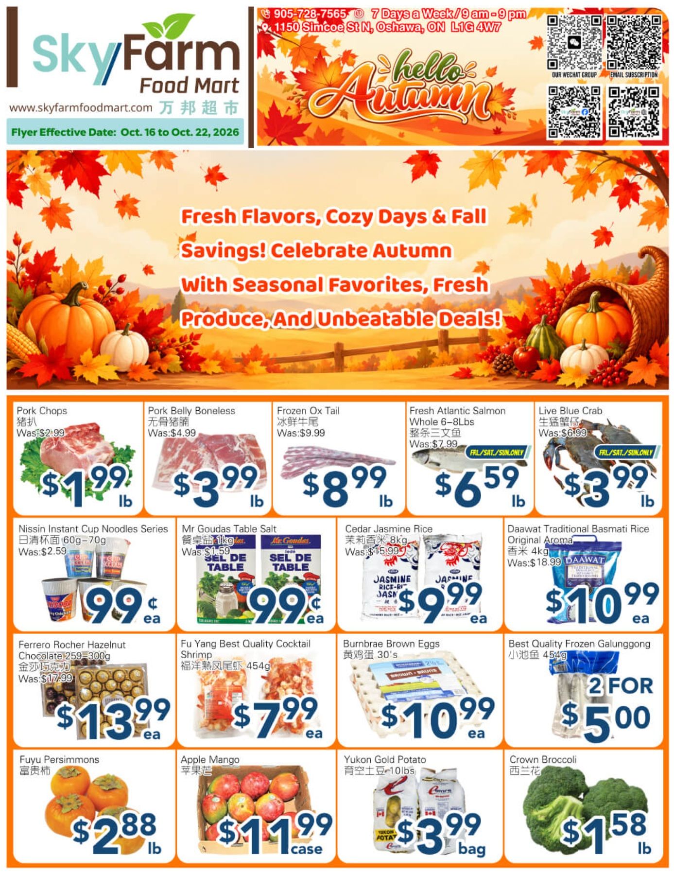 SkyFarm Food Mart Flyer October 16 to 22