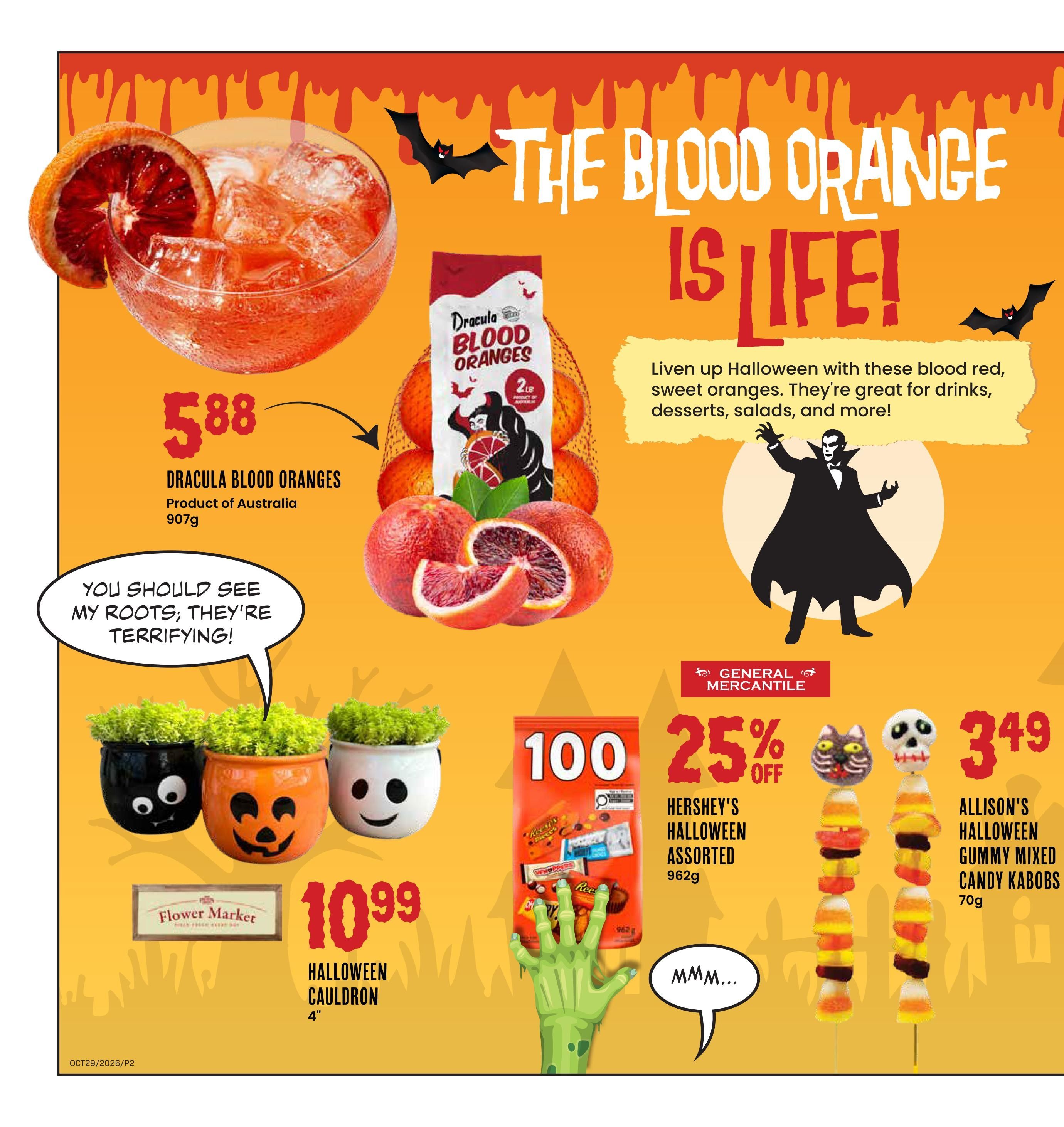 Freson Bros. Flyer October 23 to 29