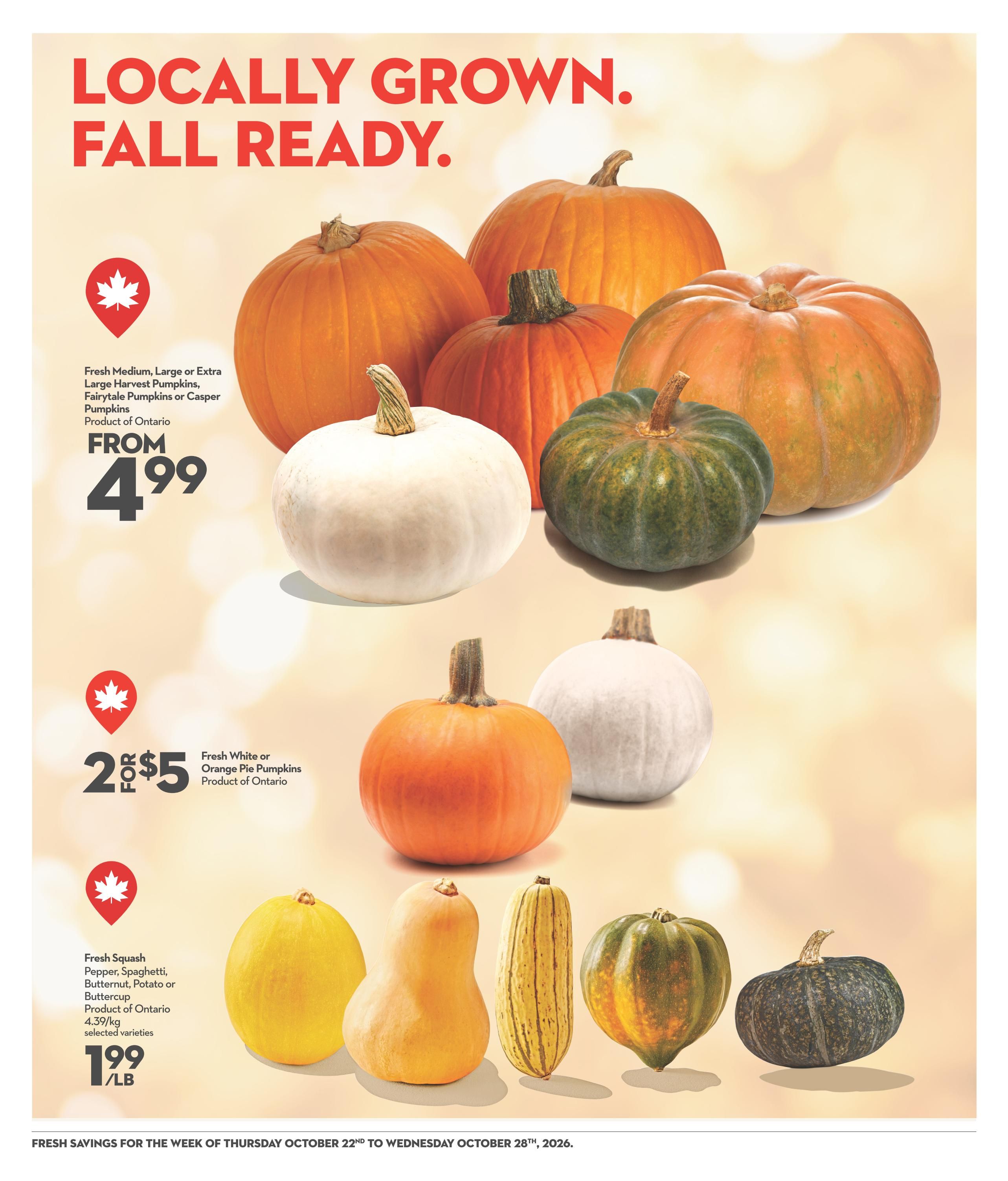 Garden Foods Flyer October 22 to 28