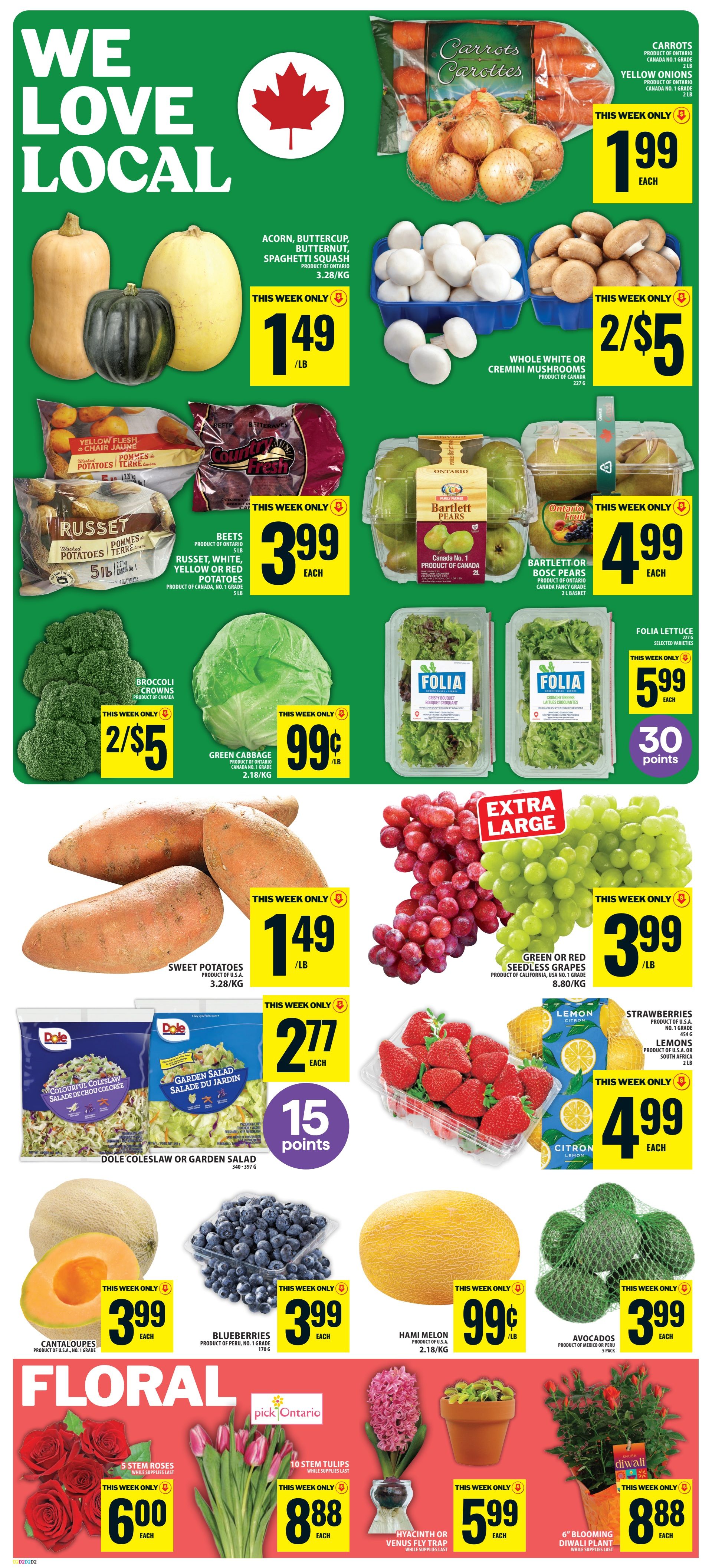 Food Basics Flyer October 22 to 28