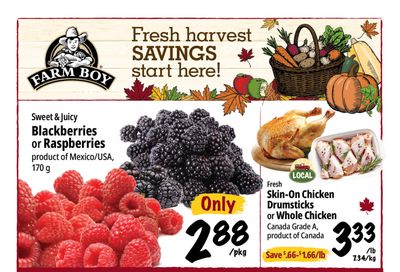 Farm Boy (Brantford, Cambridge, Hamilton, Kitchener, London, Waterloo) Flyer October 22 to 28