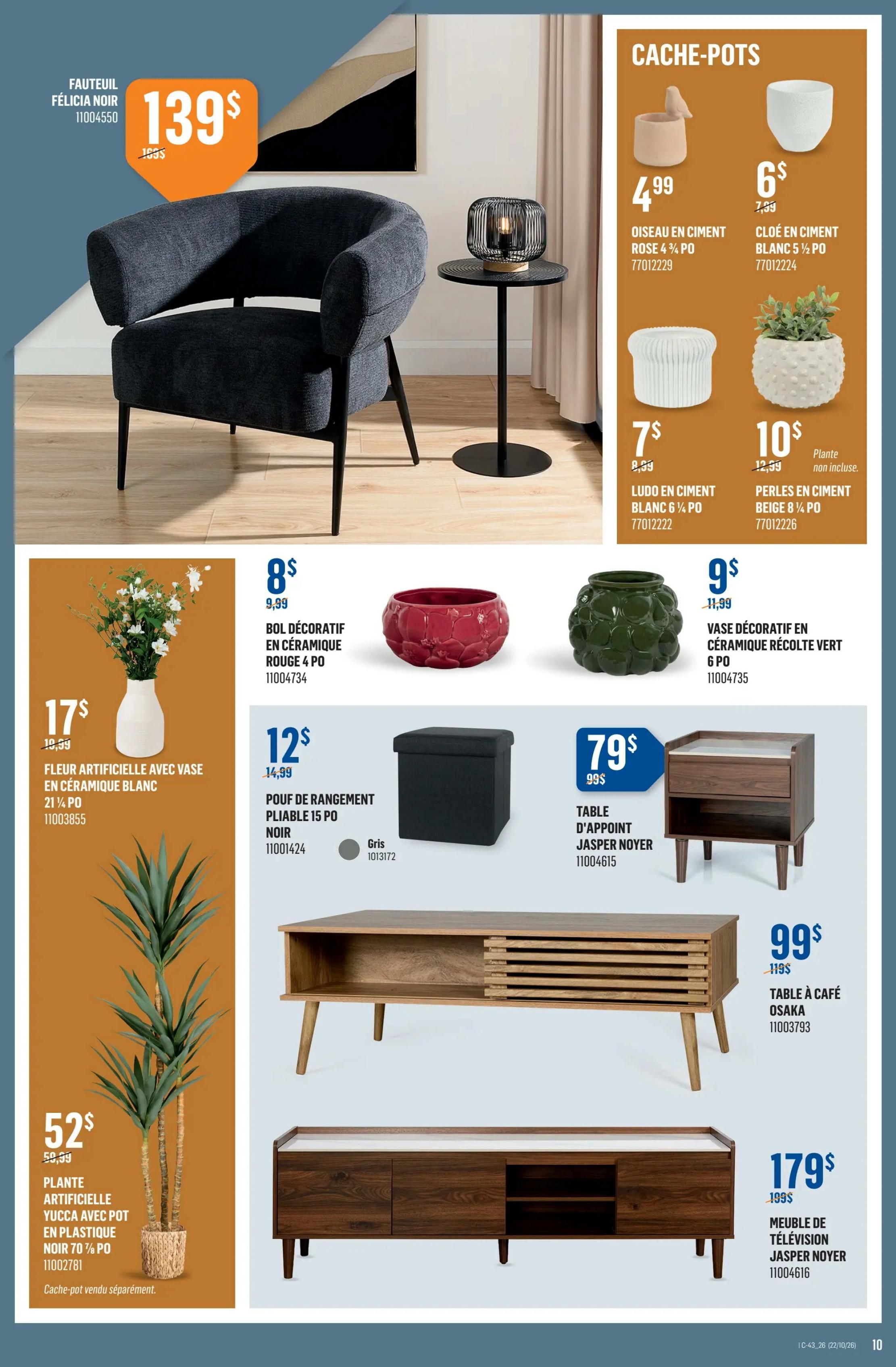 Canac Flyer October 22 to 28