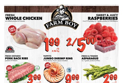 Farm Boy (Cornwall, Kingston, London, Oakville, Ottawa, Pickering, Toronto and Whitby) Flyer November 21 to 27