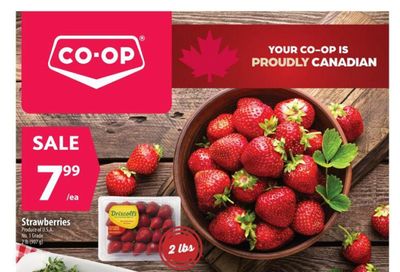 Co-op (West) Food Store Flyer October 22 to 28