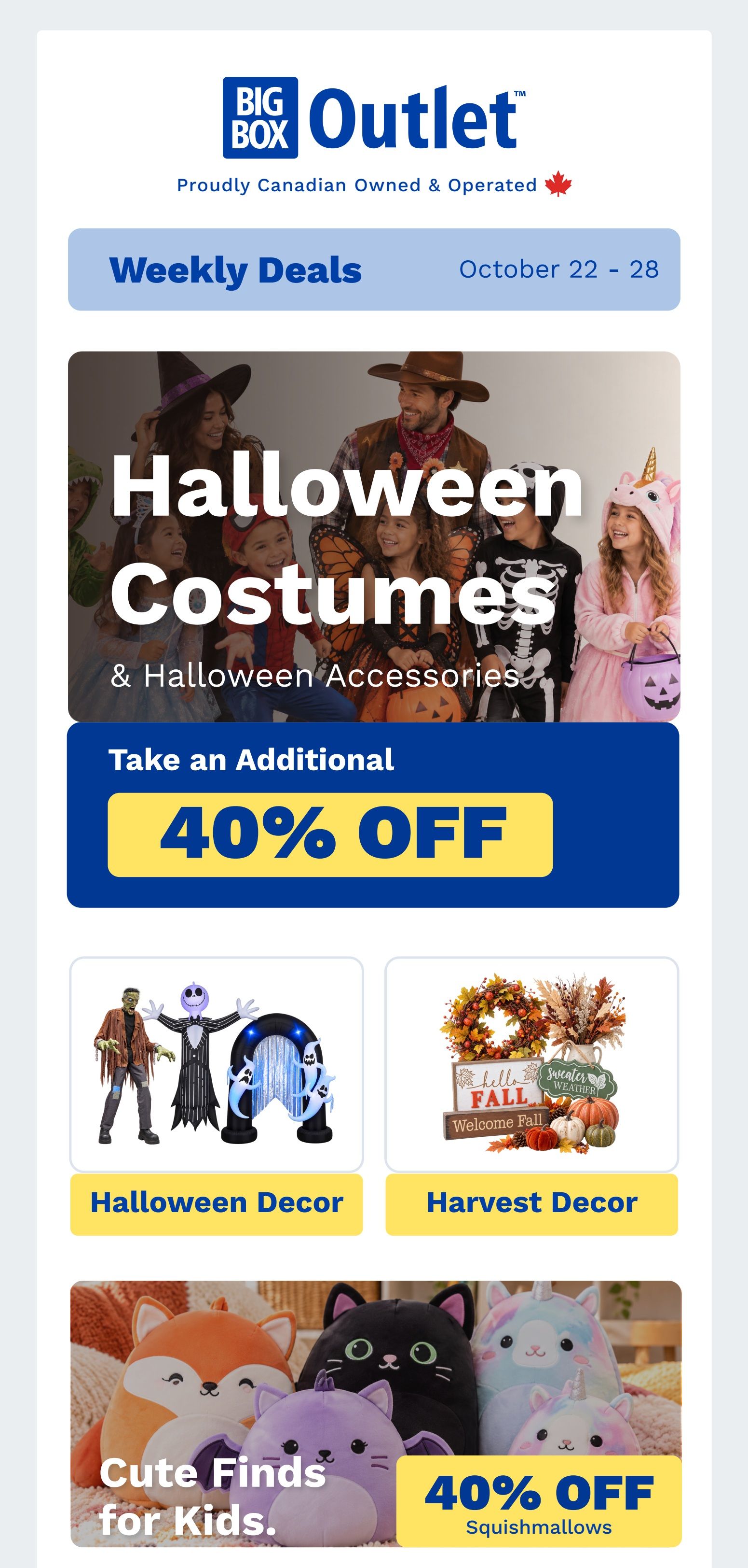Big Box Outlet Store Flyer October 22 to 28