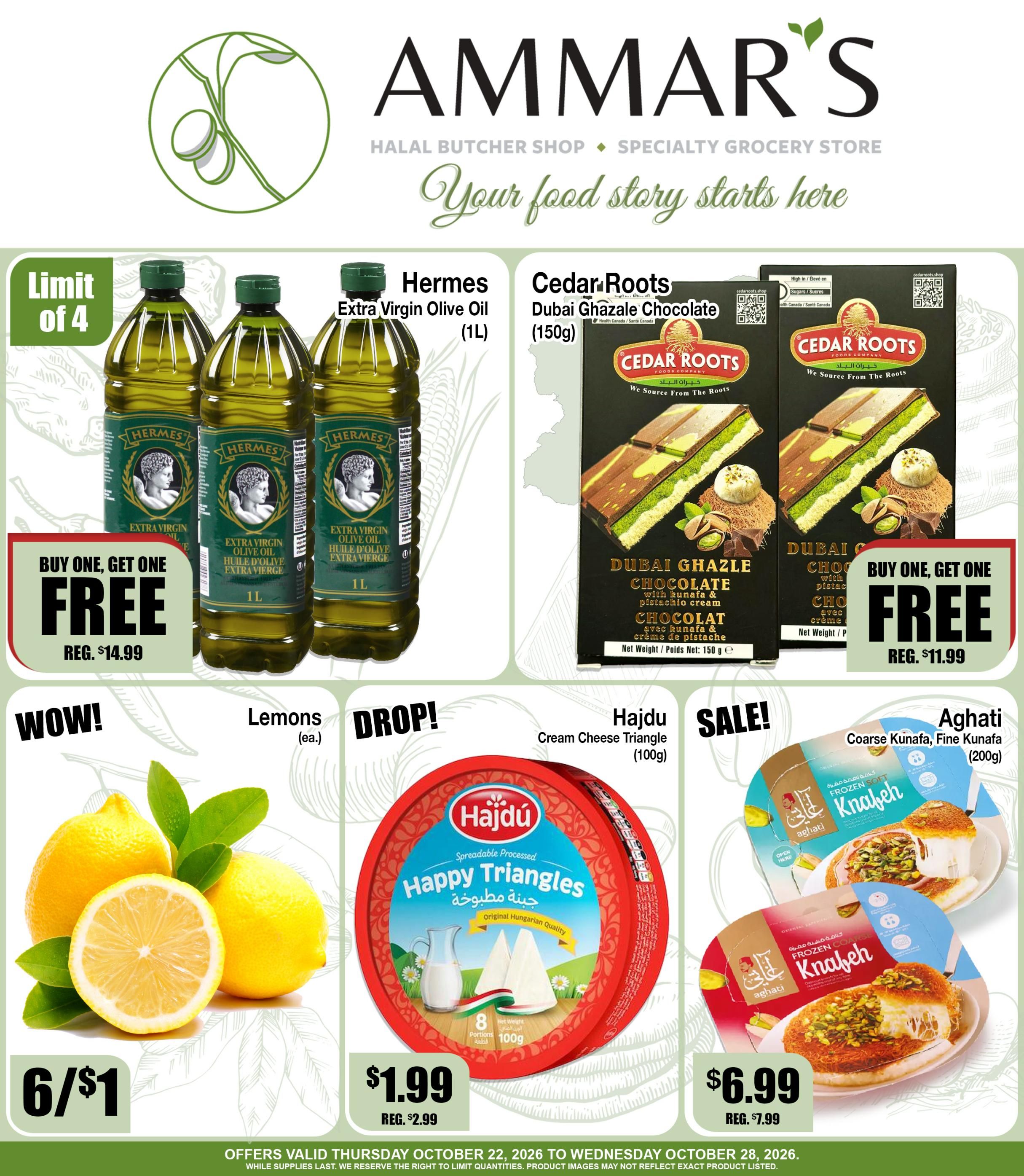 Ammar's Halal Meats Flyer October 22 to 28