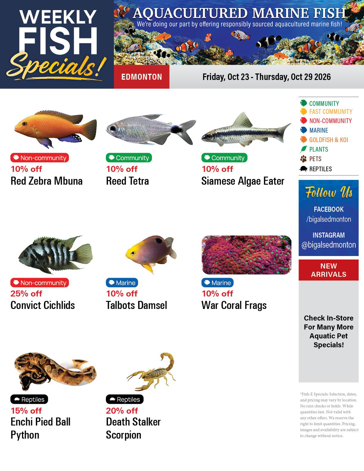 Big Al's (Edmonton) Weekly Specials October 23 to 29