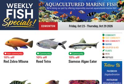 Big Al's (Edmonton) Weekly Specials October 23 to 29