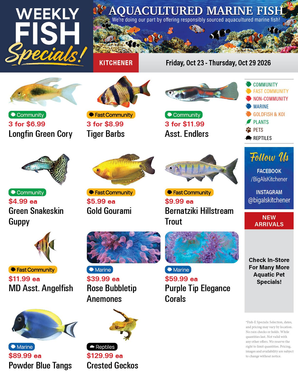 Big Al's (Kitchener) Weekly Specials October 23 to 29