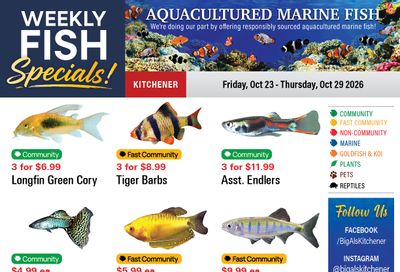 Big Al's (Kitchener) Weekly Specials October 23 to 29