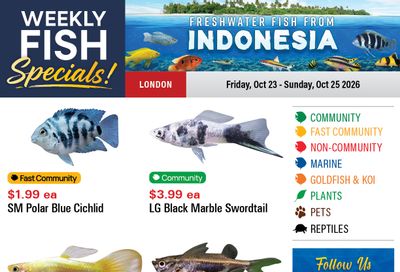 Big Al's (London) Weekend Specials October 23 to 25