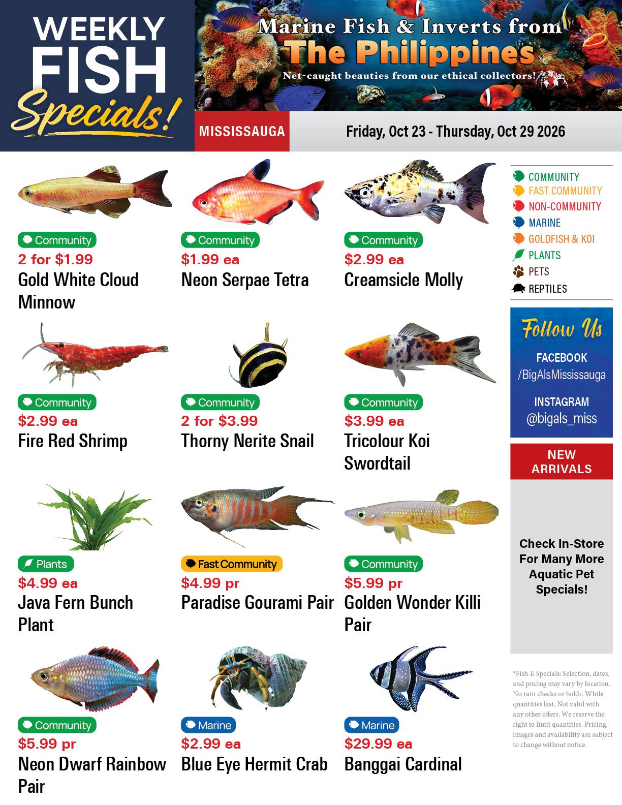 Big Al's (Mississauga) Weekly Specials October 23 to 29