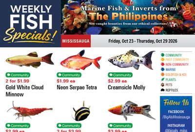 Big Al's (Mississauga) Weekly Specials October 23 to 29