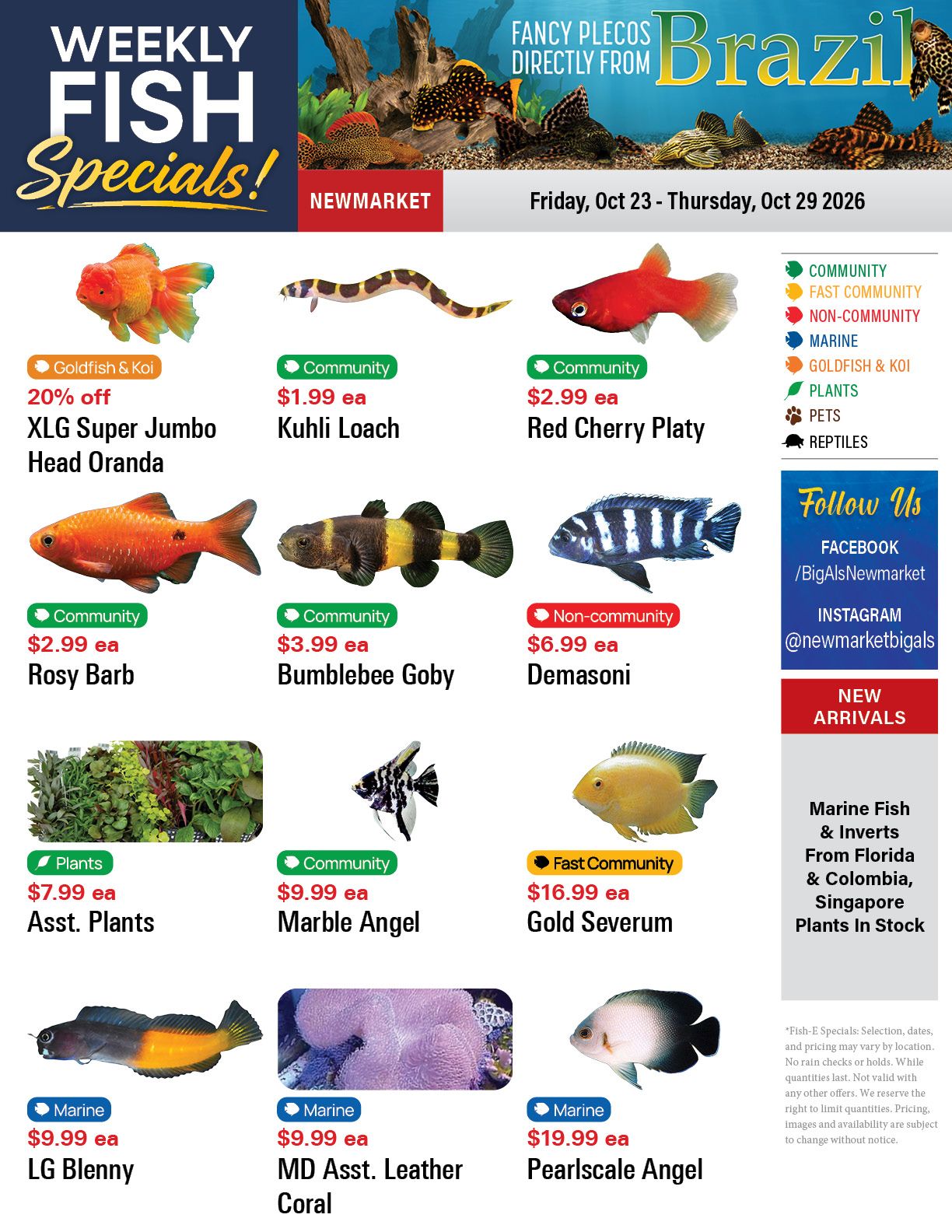 Big Al's (Newmarket) Weekly Specials October 23 to 29