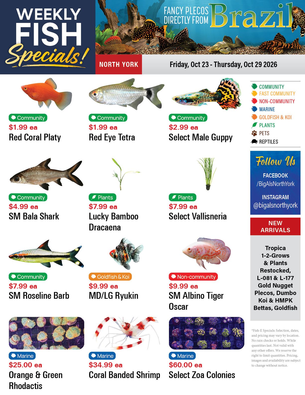 Big Al's (North York) Weekly Specials October 23 to 29