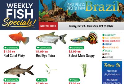 Big Al's (North York) Weekly Specials October 23 to 29