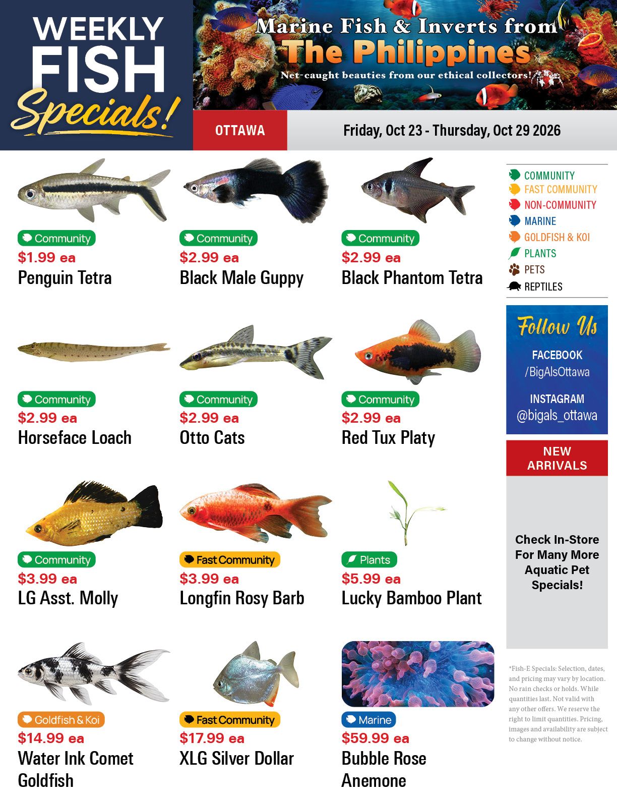 Big Al's (Ottawa) Weekly Specials October 23 to 29