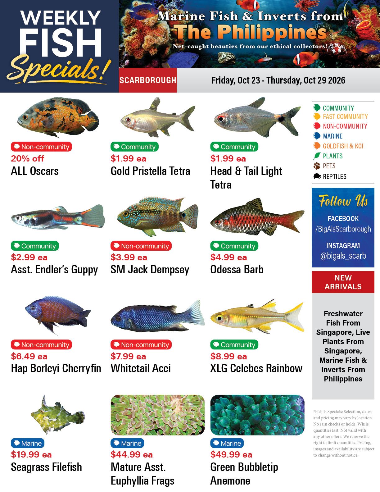 Big Al's (Scarborough) Weekly Specials October 23 to 29