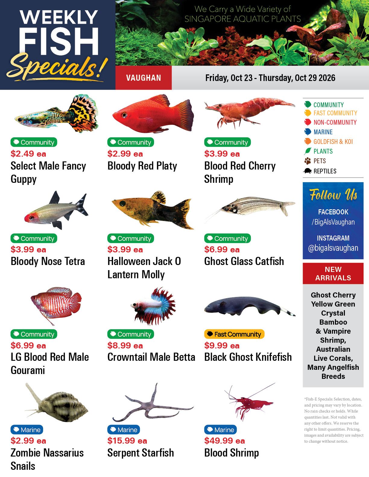 Big Al's (Vaughan) Weekly Specials October 23 to 29
