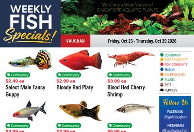 Big Al's (Vaughan) Weekly Specials October 23 to 29