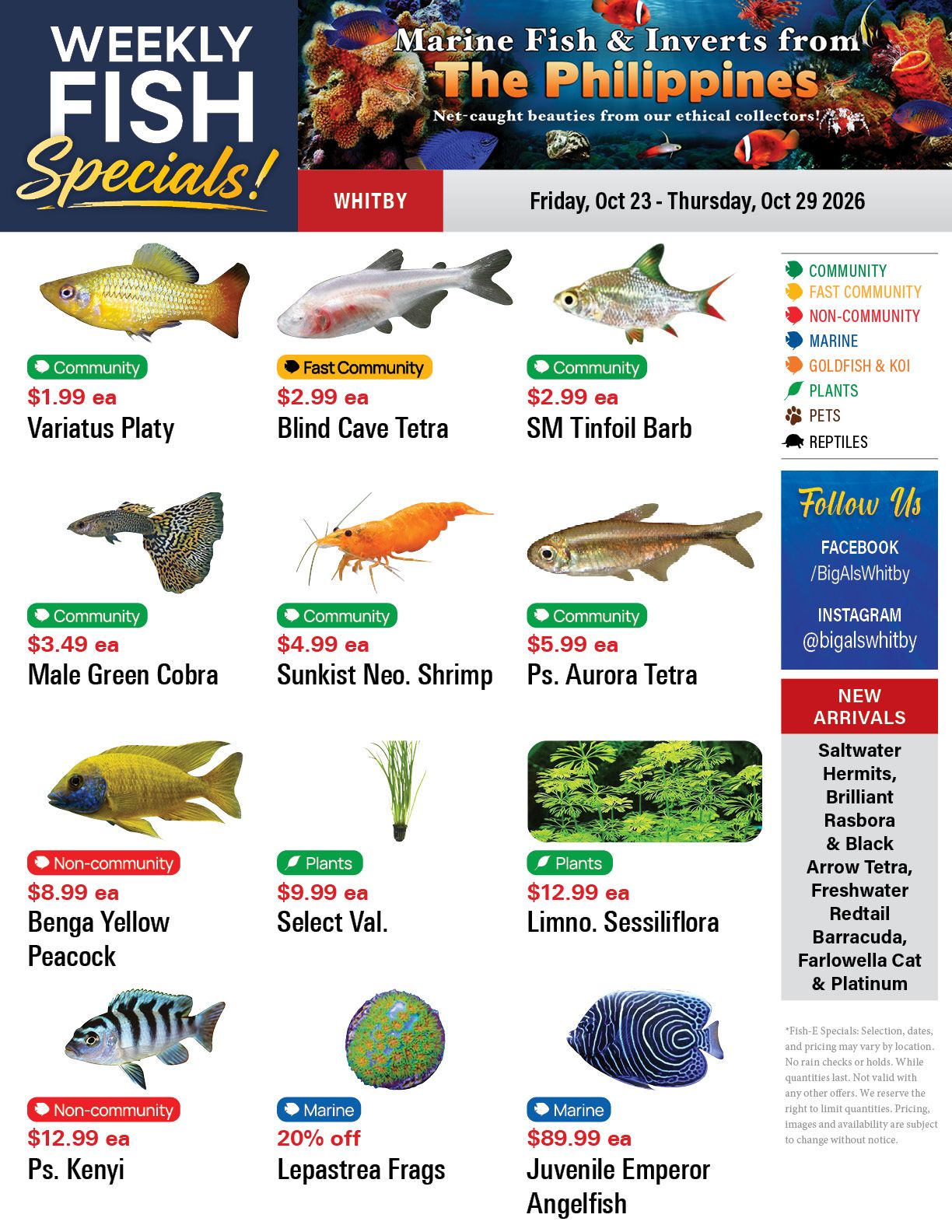 Big Al's (Whitby) Weekly Specials October 23 to 29