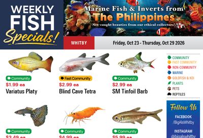 Big Al's (Whitby) Weekly Specials October 23 to 29
