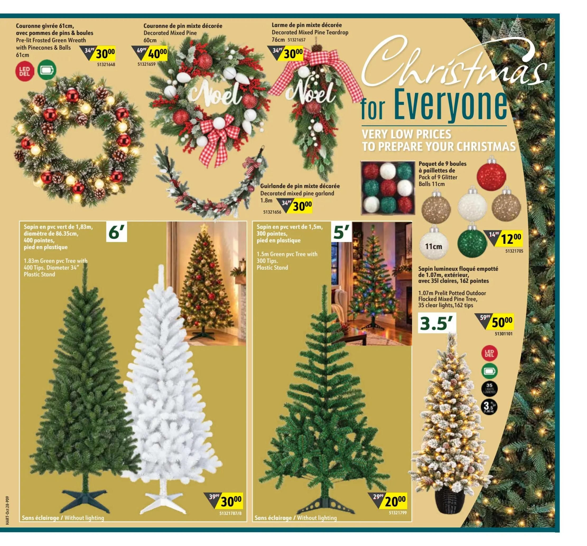 Hart Stores Flyer October 28 to November 10