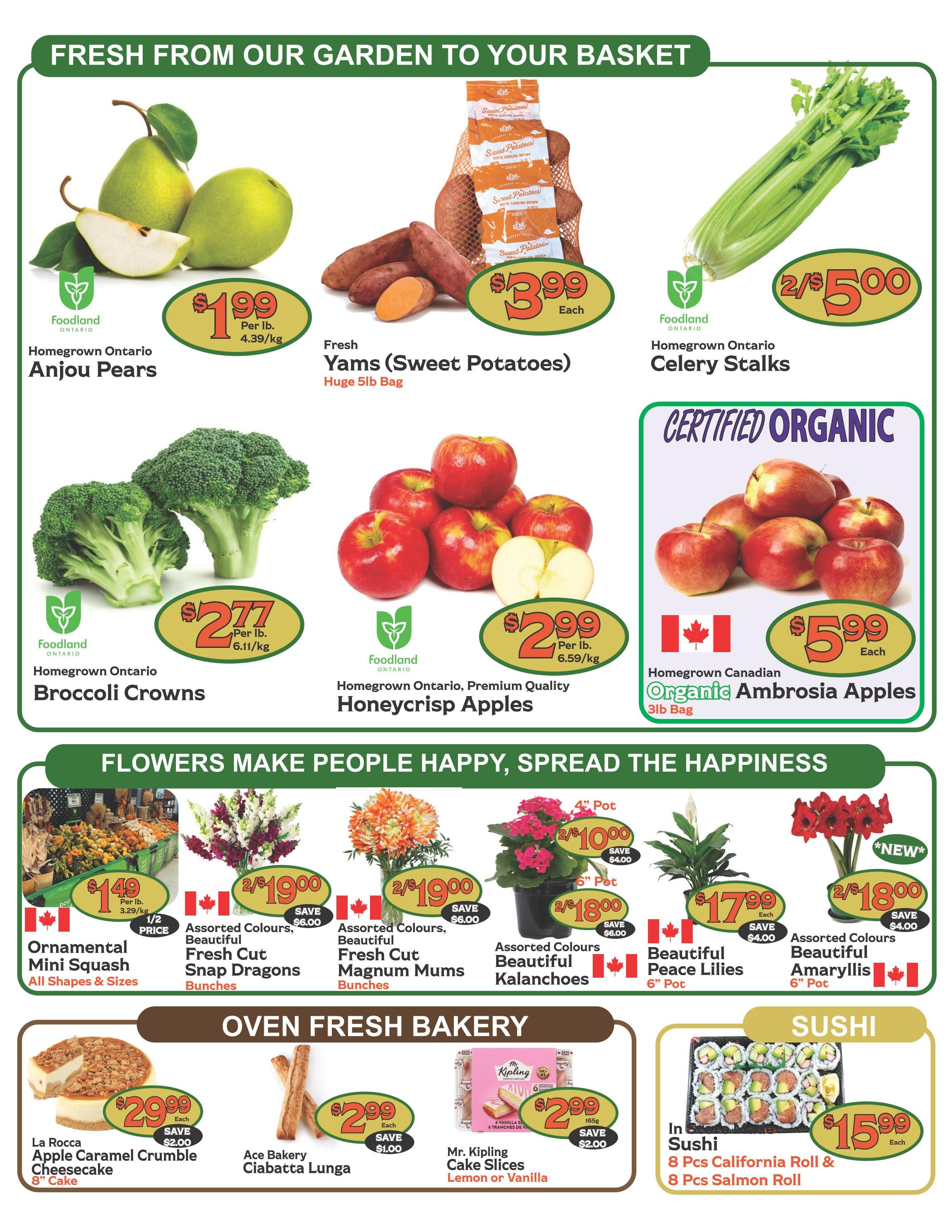 Garden Basket Market Flyer October 22 to 28