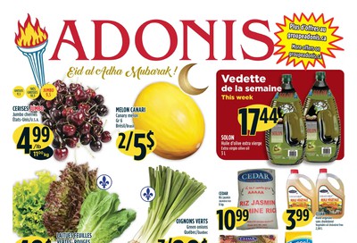 Marche Adonis (QC) Flyer July 30 to August 5