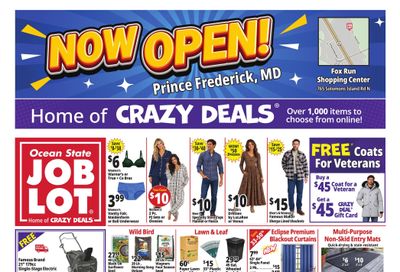 Ocean State Job Lot (Washington Area, DC) Weekly Ad October 29 - November 4, 2026