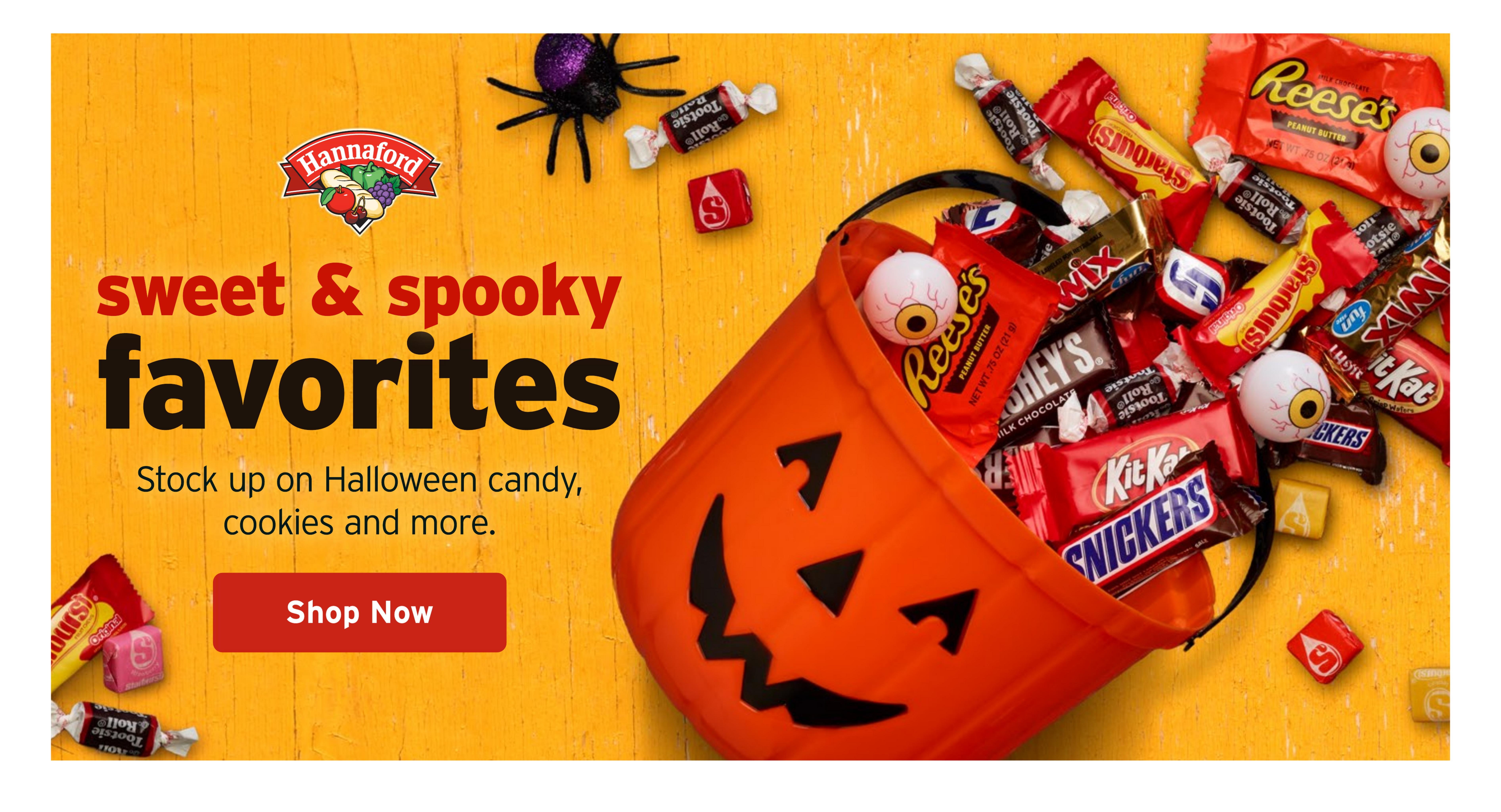 Hannaford (Albany Area, NY) Week 44 Flyer for Flipp Weekly Ad October 25 - 31, 2026