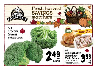 Farm Boy Flyer October 29 to November 4