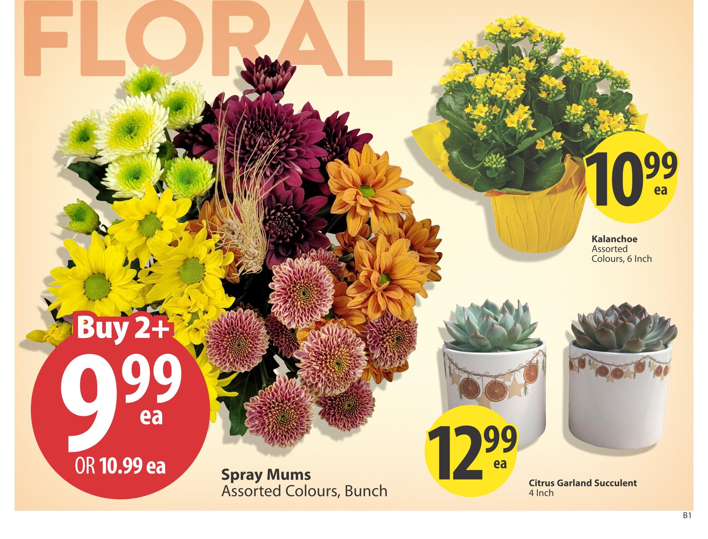 Save On Foods (AB) Flyer October 29 to November 4