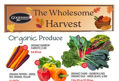 Goodness Me Flyer October 28 to November 3