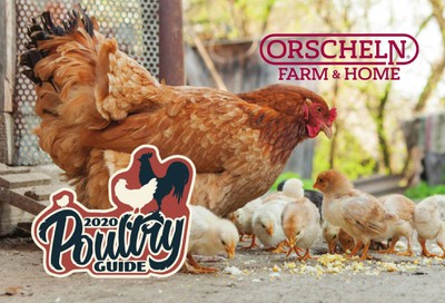 Orscheln Farm and Home Weekly Ad February 1 to November 1