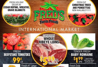 Fred's Farm Fresh Flyer November 20 to 26