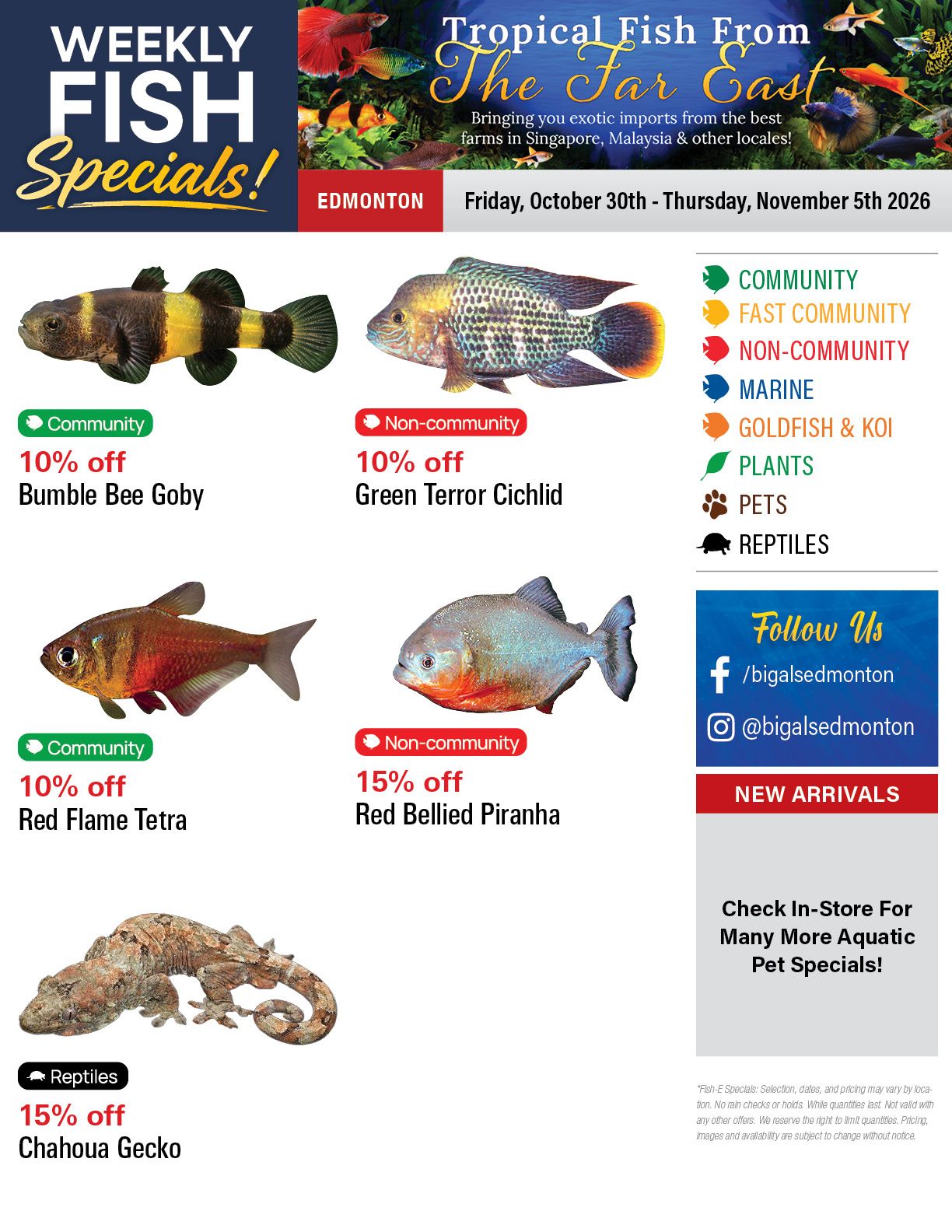 Big Al's (Edmonton) Weekly Specials October 30 to November 5