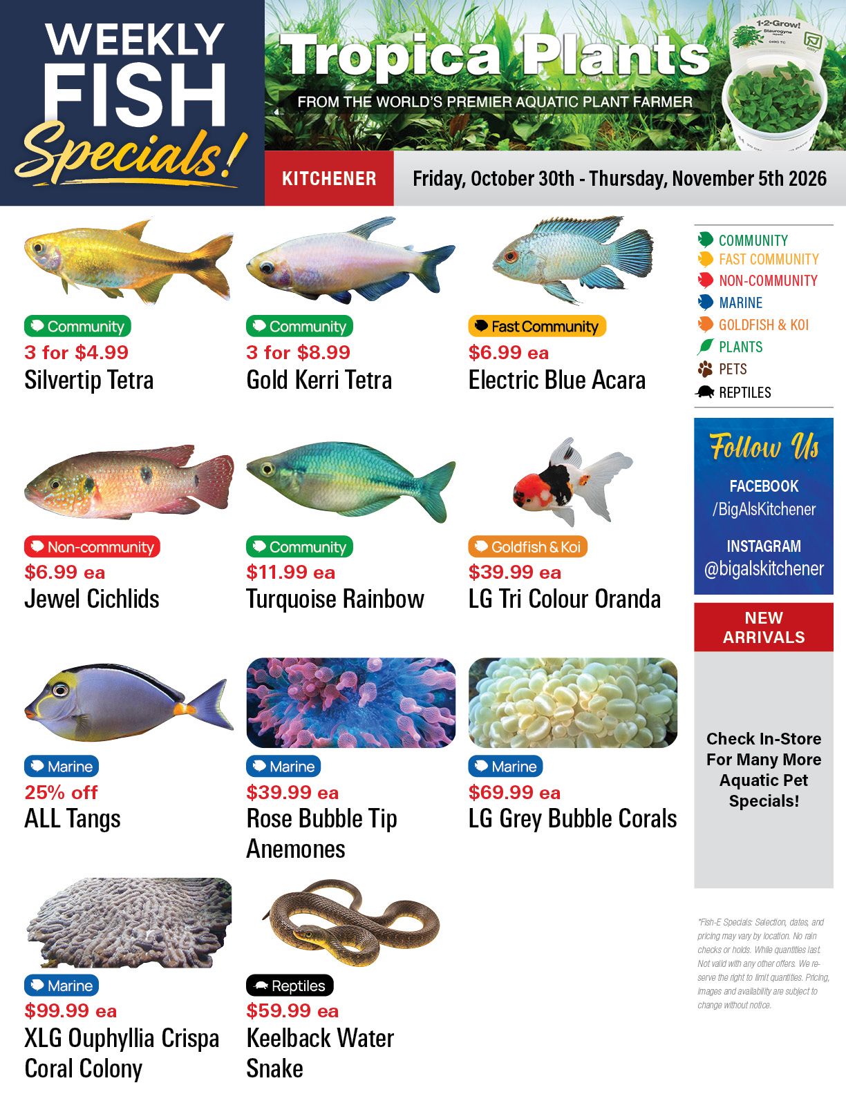 Big Al's (Kitchener) Weekly Specials October 30 to November 5