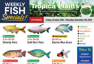Big Al's (Kitchener) Weekly Specials October 30 to November 5