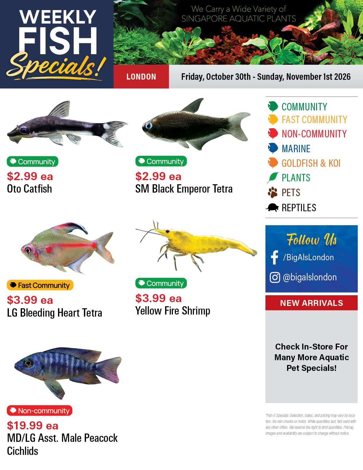 Big Al's (London) Weekend Specials October 30 to November 1