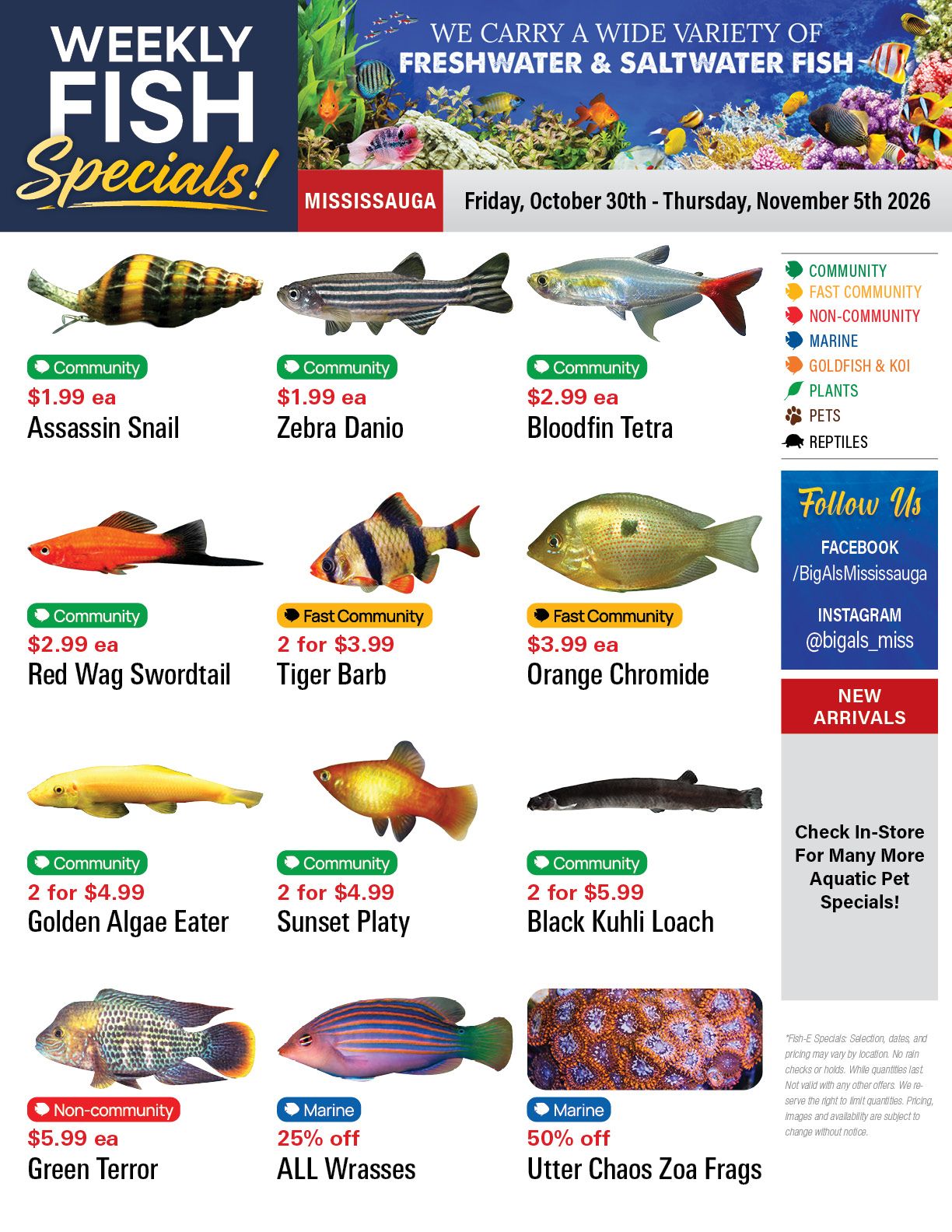 Big Al's (Mississauga) Weekly Specials October 30 to November 5