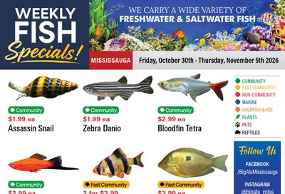Big Al's (Mississauga) Weekly Specials October 30 to November 5