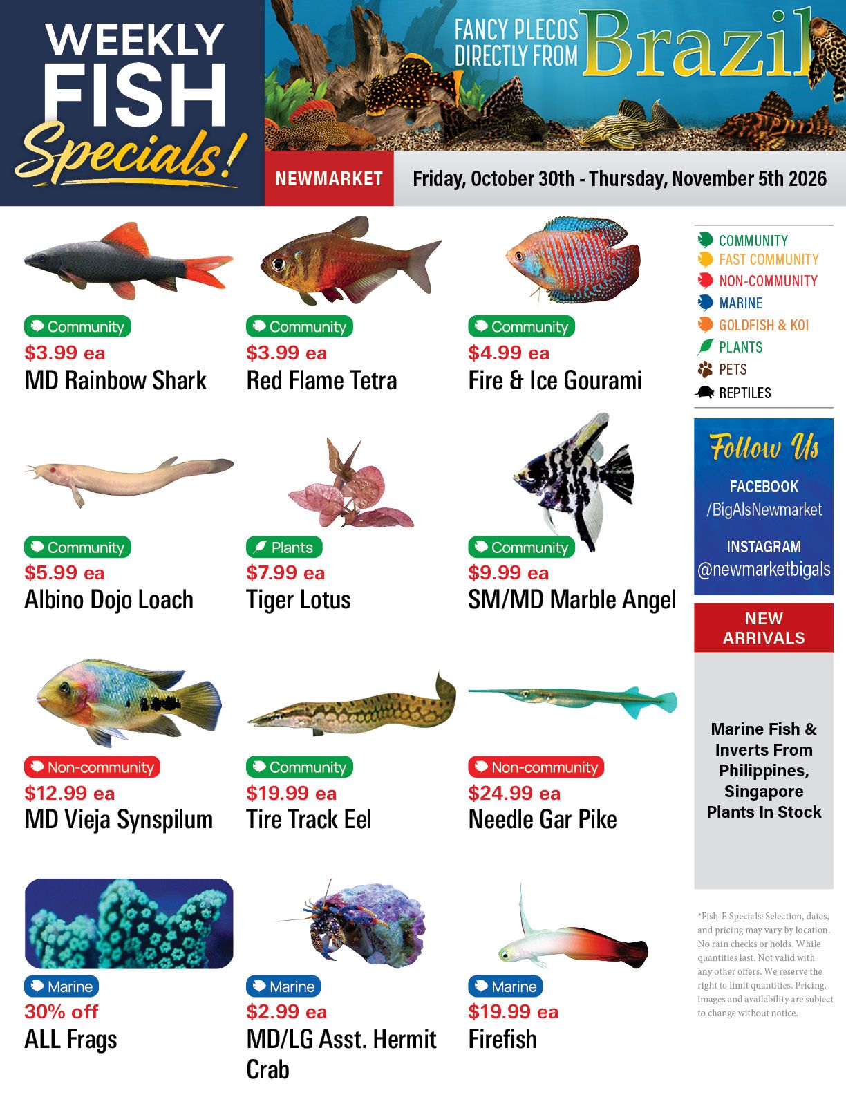 Big Al's (Newmarket) Weekly Specials October 30 to November 5