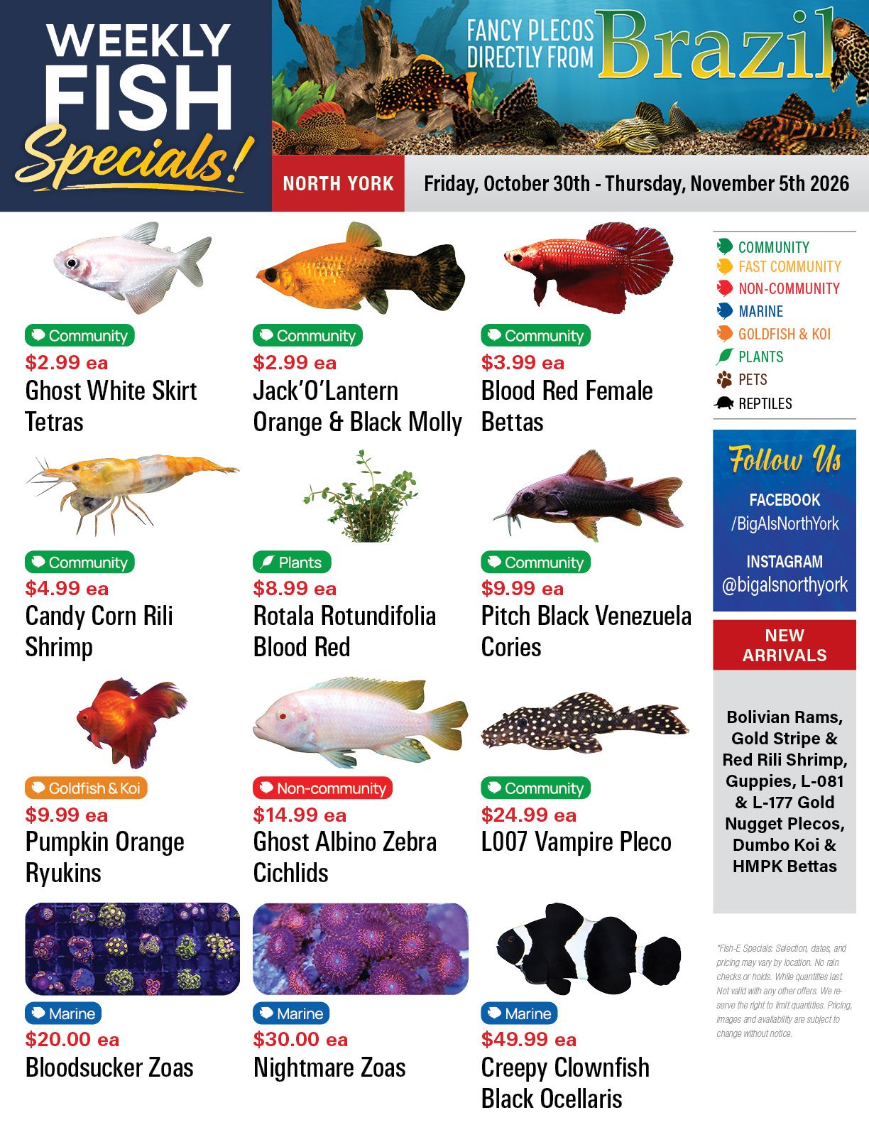 Big Al's (North York) Weekly Specials October 30 to November 5