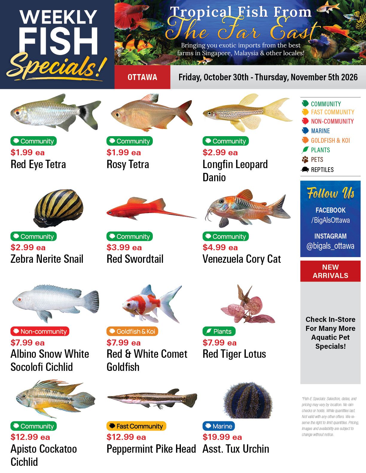 Big Al's (Ottawa) Weekly Specials October 30 to November 5